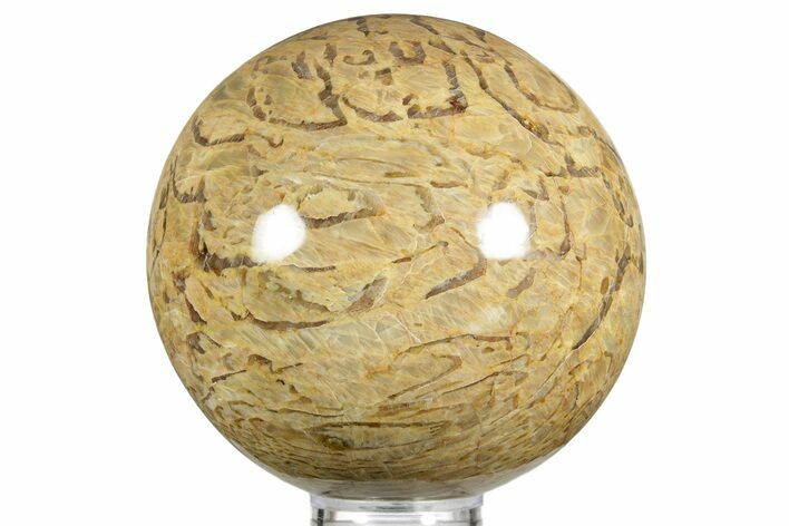 Polished Graphic Feldspar Sphere - Madagascar #375831
